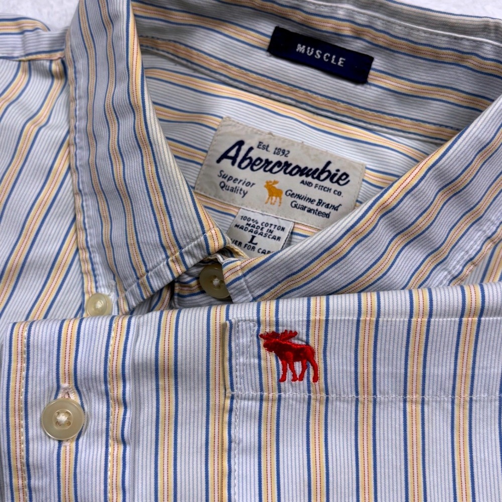VTG Y2K Abercrombie Fitch Button Shirt Men L Blue Yellow Muscle Striped Moose